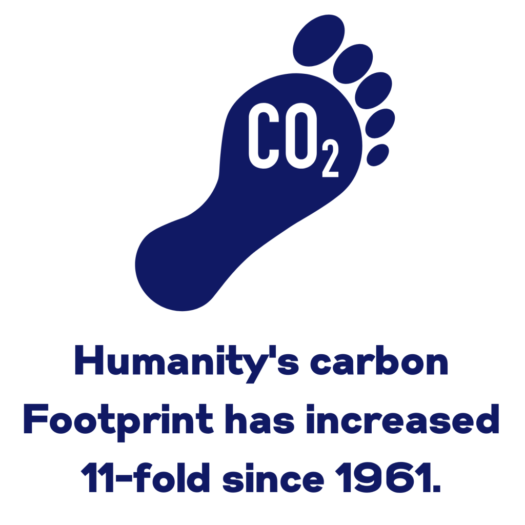 Save on Energy - Carbon-Neutral. Gillespie & McLean Electrical Glasgow. 